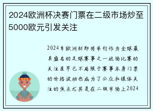 2024欧洲杯决赛门票在二级市场炒至5000欧元引发关注